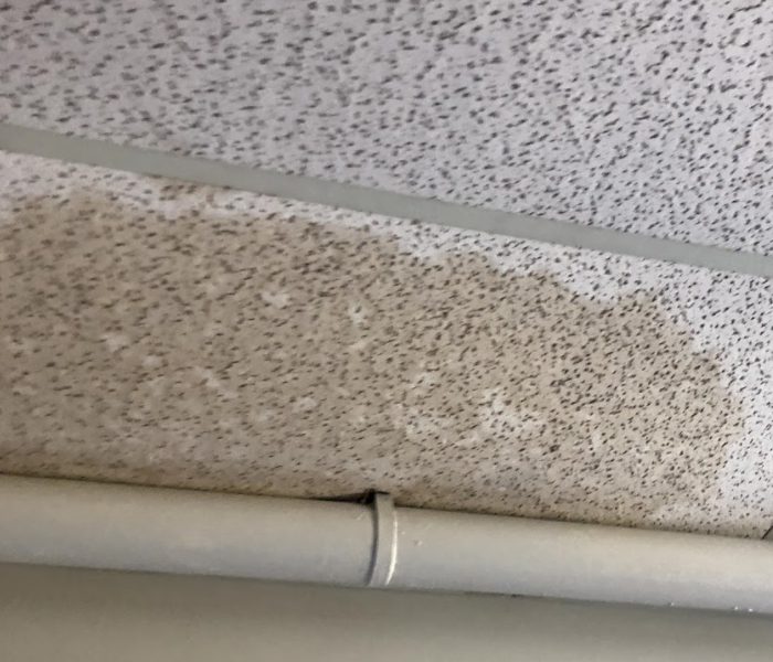 wet and discolored ceiling tiles